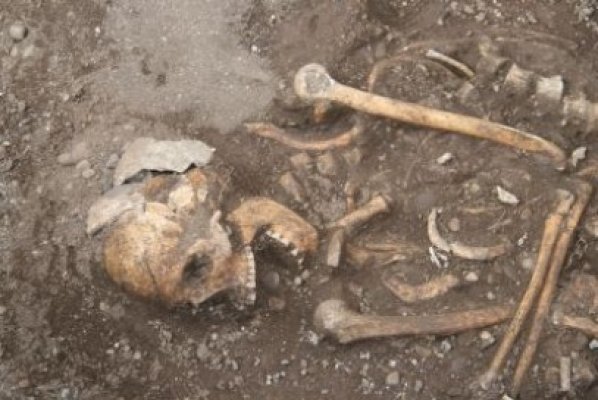 Craniu găsit într-un canal de lângă Carrefour